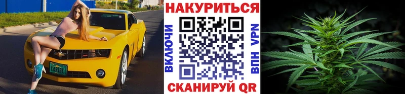 МЕГА как зайти  Хилок  Канабис White Widow 